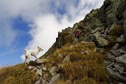 In vetta al Monte Valletto dal Monte di Sopra e al Monte Triomen il 21 settembre 2015  - FOTOGALLERY